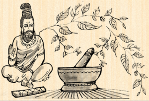 Ayurveda: The Ancient Indian Health Science ⋆ SEAN-O-VISTA